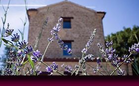 L'Alboreto Salvatico Homestay