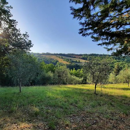 L'Alboreto Salvatico Homestay Serra San Quirico Esterno foto