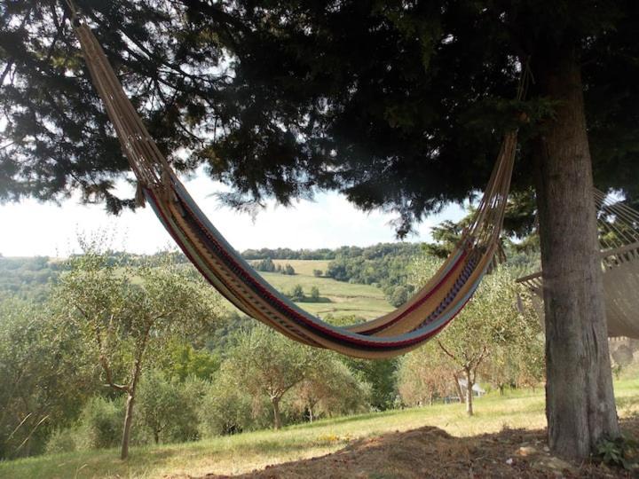 L'Alboreto Salvatico Homestay Serra San Quirico Esterno foto