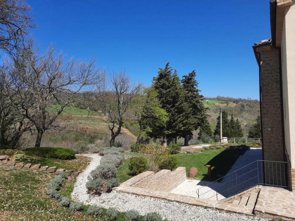 L'Alboreto Salvatico Homestay Serra San Quirico Esterno foto